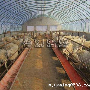 养殖温室