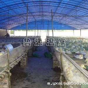 养殖温室