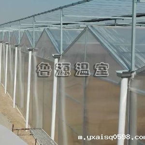 阳光板温室