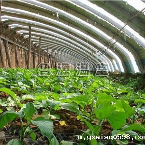 蔬菜大棚温室