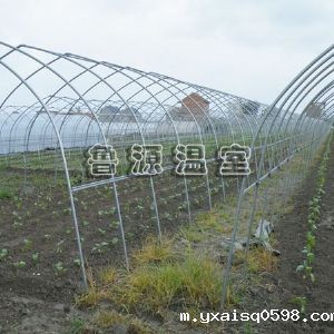 蔬菜大棚温室
