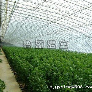 蔬菜大棚温室