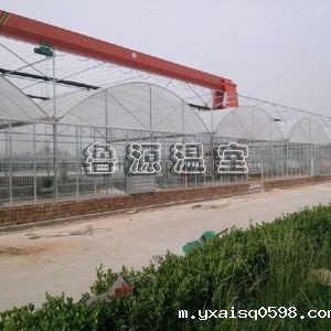 薄膜连栋温室