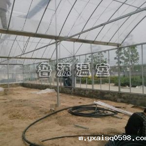 薄膜连栋温室
