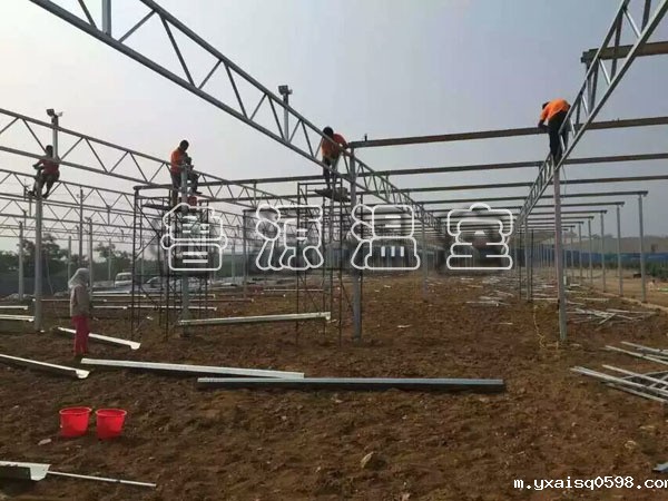 日光温室土壤如何培肥技术和方法