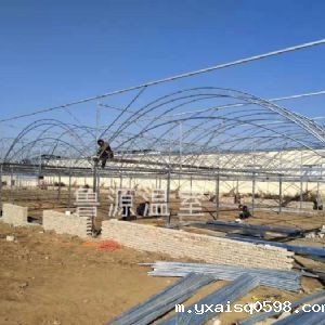 烟台双拱双模育苗温室