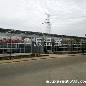 章丘大葱种植基地