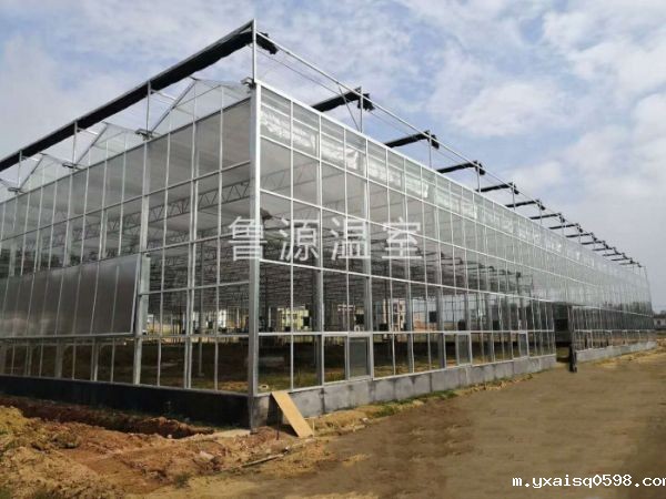 广东农旅产业园5万平米