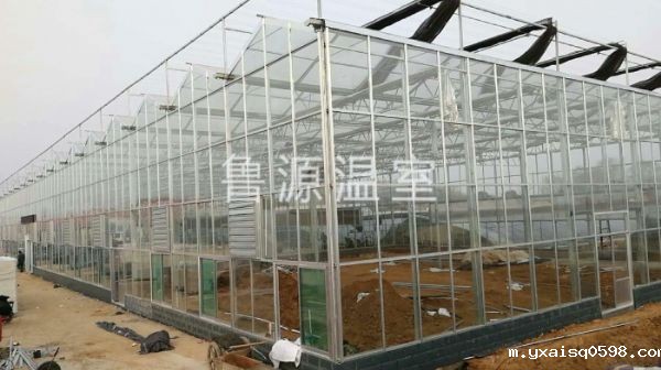 济南5万公斤采摘种植基地