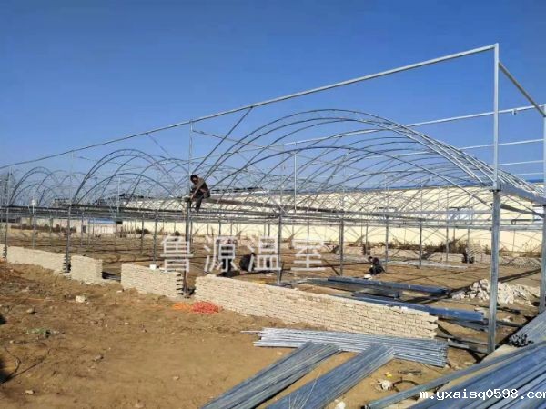 烟台双拱双模育苗温室
