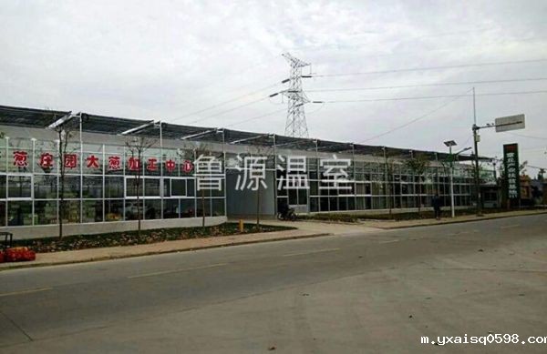 章丘大葱种植基地