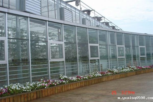 玻璃温室的造价.jpg