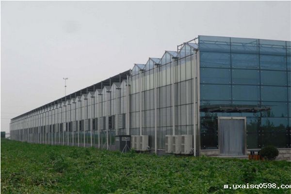 玻璃智能温室.jpg
