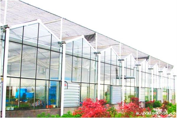 玻璃温室大棚价格_meitu_9.jpg