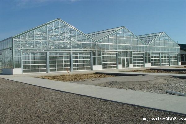 玻璃温室大棚建设.jpg