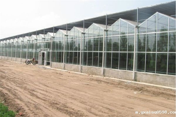 玻璃温室大棚.jpg