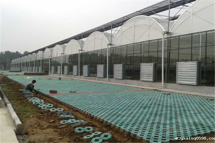 夏天为什么你的温室大棚不能用，而别人家的温室大棚里凉爽宜人