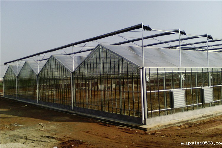 介绍四种高智能温室大棚