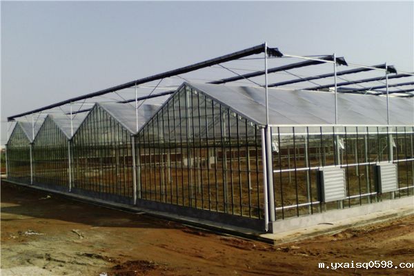 文络式玻璃温室.jpg