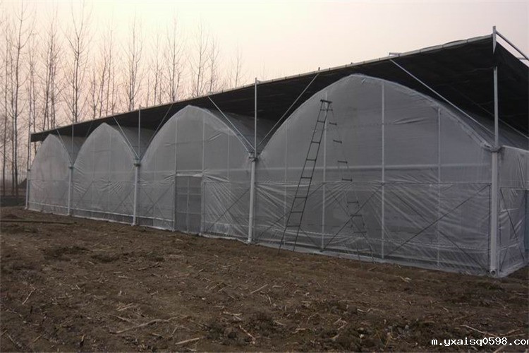 薄膜温室选购薄膜要注意什么