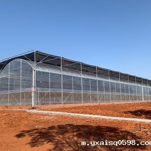 连栋薄膜温室