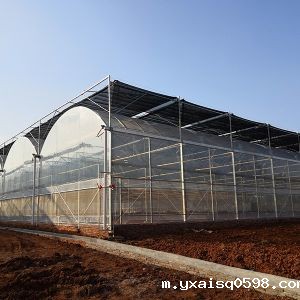 连栋薄膜温室
