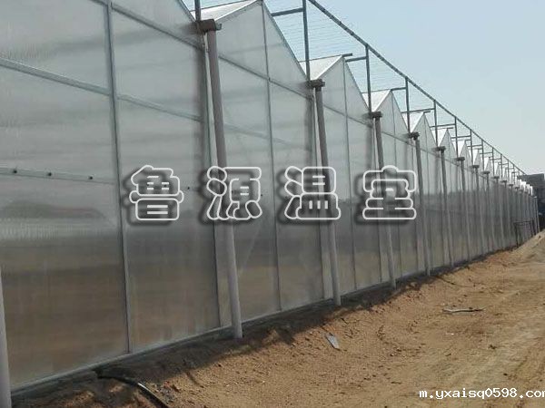 阳光板大棚的发展和特点