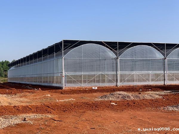 连栋薄膜温室.jpg