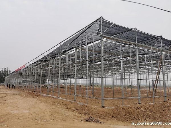 玻璃温室的优点有哪些？