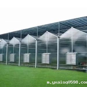 阳光板温室