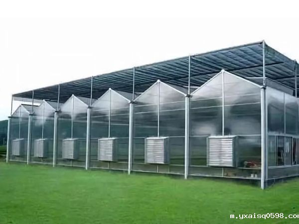 阳光板温室